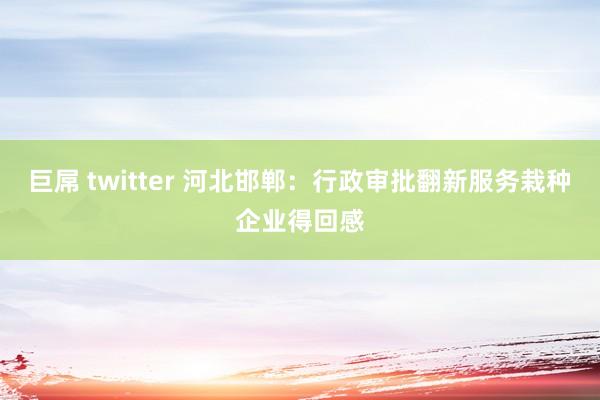 巨屌 twitter 河北邯郸：行政审批翻新服务栽种企业得回感