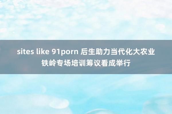 sites like 91porn 后生助力当代化大农业铁岭专场培训筹议看成举行