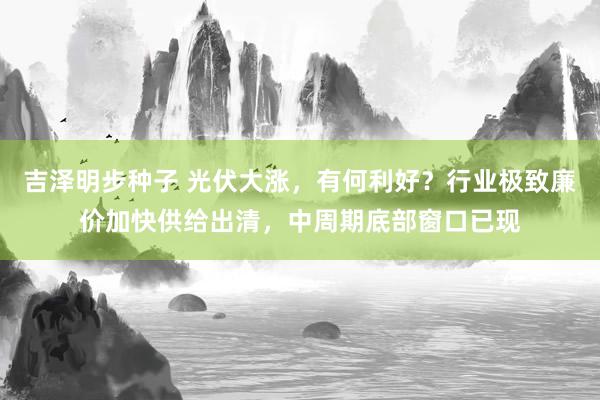 吉泽明步种子 光伏大涨，有何利好？行业极致廉价加快供给出清，中周期底部窗口已现