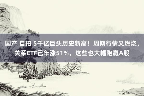 国产 自拍 5千亿巨头历史新高！周期行情又燃烧，关系ETF已年涨51%，这些也大幅跑赢A股