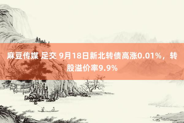 麻豆传媒 足交 9月18日新北转债高涨0.01%，转股溢价率9.9%