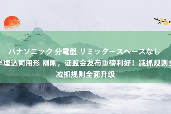 パナソニック 分電盤 リミッタースペースなし 露出・半埋込両用形 刚刚，证监会发布重磅利好！减抓规则全面升级