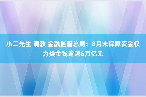 小二先生 调教 金融监管总局：8月末保障资金权力类金钱逾越6万亿元