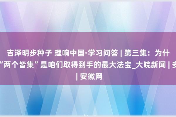 吉泽明步种子 理响中国·学习问答 | 第三集：为什么说“两个皆集”是咱们取得到手的最大法宝_大皖新闻 | 安徽网