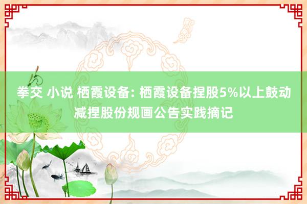 拳交 小说 栖霞设备: 栖霞设备捏股5%以上鼓动减捏股份规画公告实践摘记