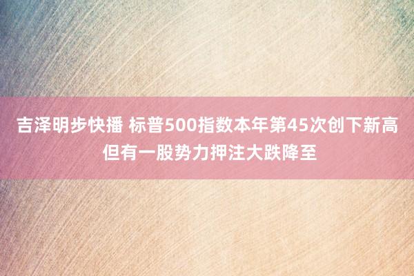 吉泽明步快播 标普500指数本年第45次创下新高 但有一股势力押注大跌降至