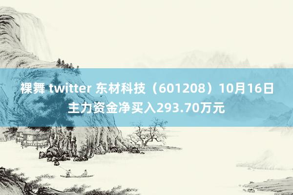 裸舞 twitter 东材科技（601208）10月16日主力资金净买入293.70万元