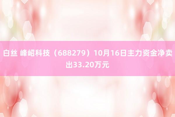 白丝 峰岹科技（688279）10月16日主力资金净卖出33.20万元