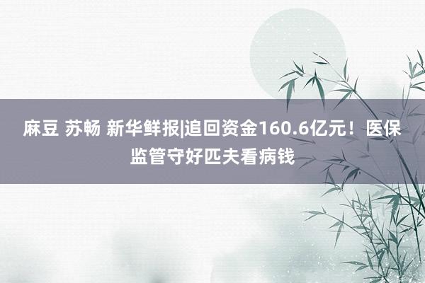 麻豆 苏畅 新华鲜报|追回资金160.6亿元！医保监管守好匹夫看病钱