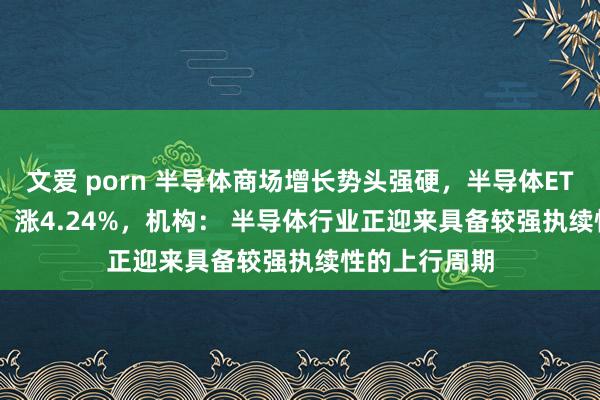 文爱 porn 半导体商场增长势头强硬，半导体ETF（512480）涨4.24%，机构： 半导体行业正迎来具备较强执续性的上行周期