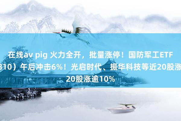 在线av pig 火力全开，批量涨停！国防军工ETF（512810）午后冲击6%！光启时代、振华科技等近20股涨逾10%