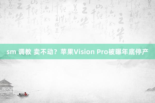 sm 调教 卖不动？苹果Vision Pro被曝年底停产