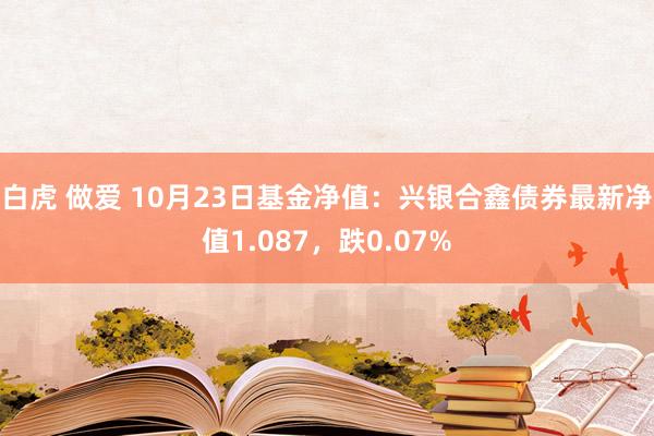 白虎 做爱 10月23日基金净值：兴银合鑫债券最新净值1.087，跌0.07%