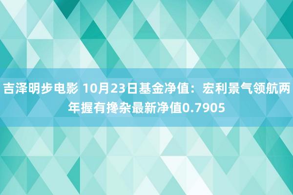 吉泽明步电影 10月23日基金净值：宏利景气领航两年握有搀杂最新净值0.7905