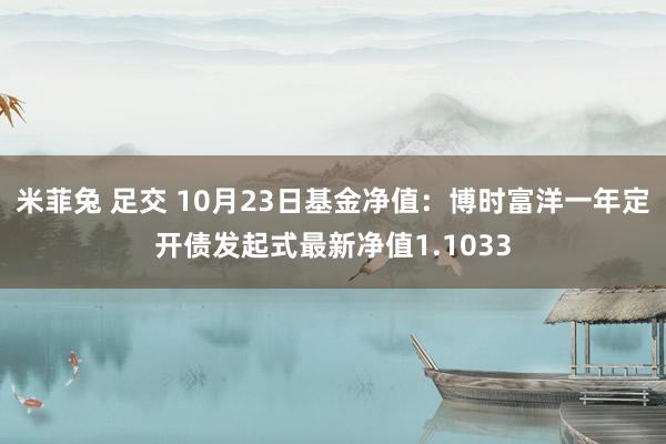 米菲兔 足交 10月23日基金净值：博时富洋一年定开债发起式最新净值1.1033