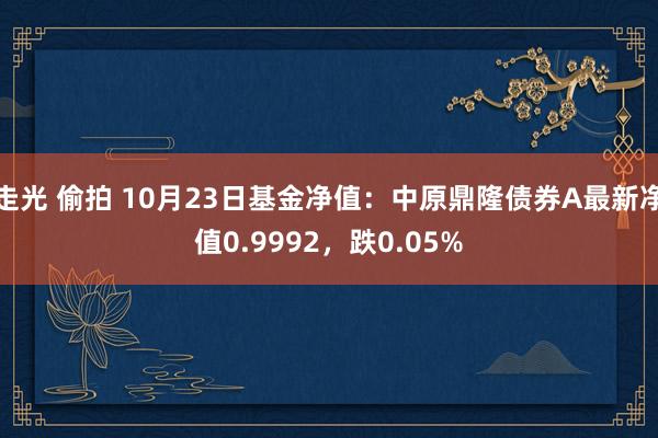 走光 偷拍 10月23日基金净值：中原鼎隆债券A最新净值0.9992，跌0.05%