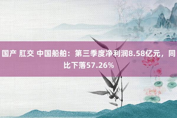 国产 肛交 中国船舶：第三季度净利润8.58亿元，同比下落57.26%