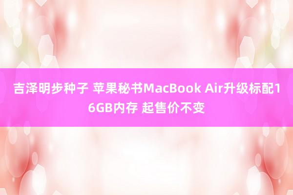 吉泽明步种子 苹果秘书MacBook Air升级标配16GB内存 起售价不变