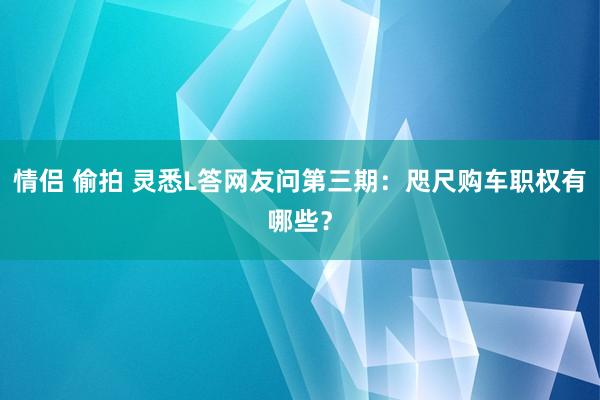 情侣 偷拍 灵悉L答网友问第三期：咫尺购车职权有哪些？