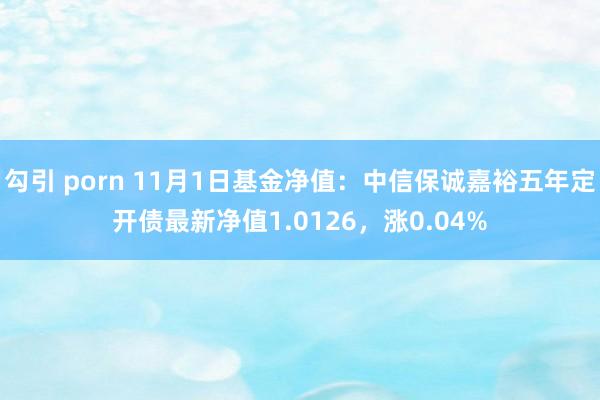 勾引 porn 11月1日基金净值：中信保诚嘉裕五年定开债最新净值1.0126，涨0.04%