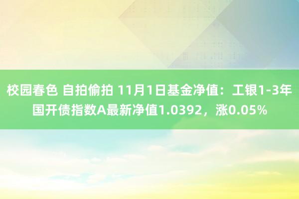 校园春色 自拍偷拍 11月1日基金净值：工银1-3年国开债指数A最新净值1.0392，涨0.05%