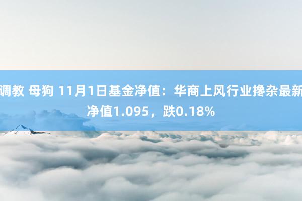 调教 母狗 11月1日基金净值：华商上风行业搀杂最新净值1.095，跌0.18%