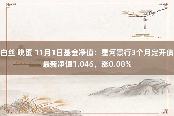 白丝 跳蛋 11月1日基金净值：星河景行3个月定开债最新净值1.046，涨0.08%