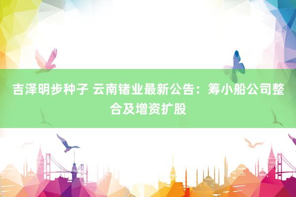 吉泽明步种子 云南锗业最新公告：筹小船公司整合及增资扩股