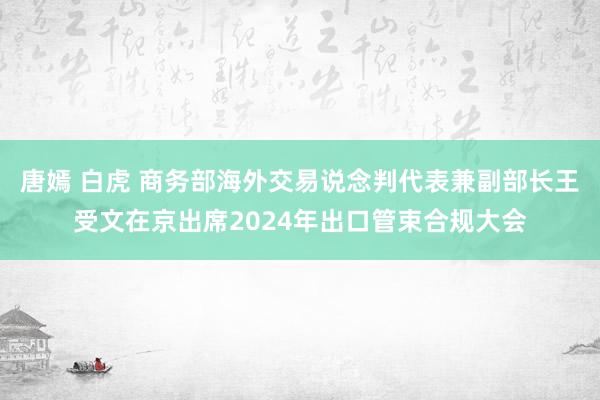 唐嫣 白虎 商务部海外交易说念判代表兼副部长王受文在京出席2024年出口管束合规大会