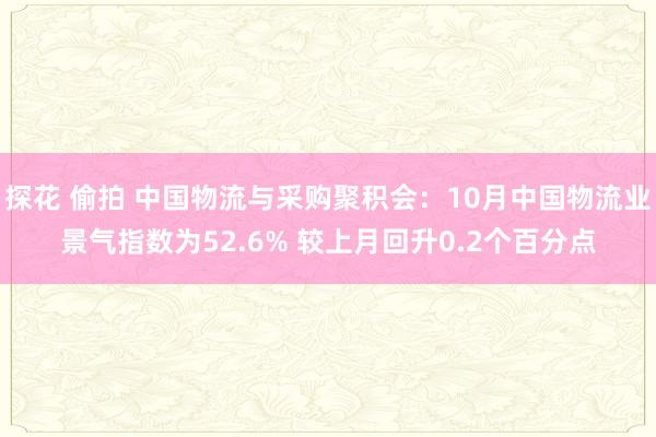 探花 偷拍 中国物流与采购聚积会：10月中国物流业景气指数为52.6% 较上月回升0.2个百分点