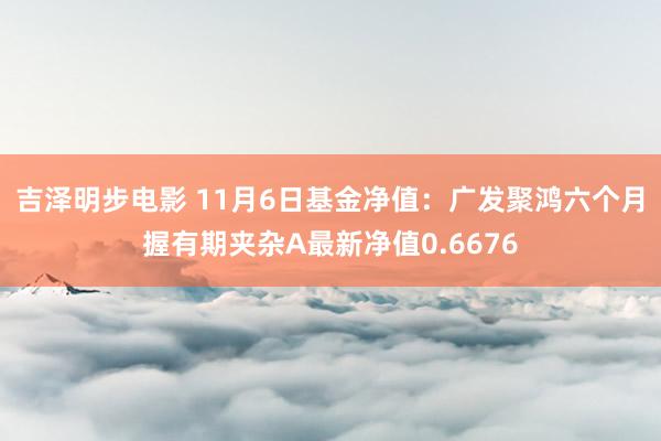 吉泽明步电影 11月6日基金净值：广发聚鸿六个月握有期夹杂A最新净值0.6676