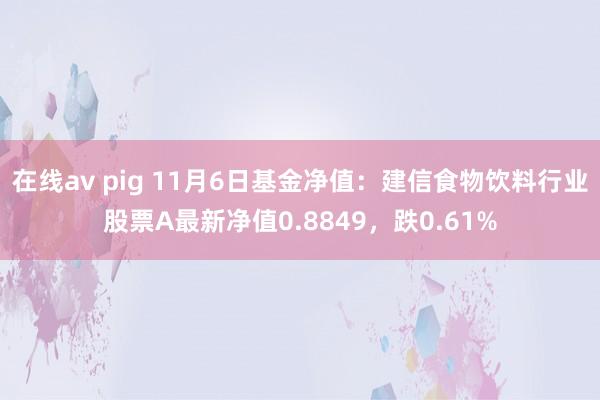 在线av pig 11月6日基金净值：建信食物饮料行业股票A最新净值0.8849，跌0.61%