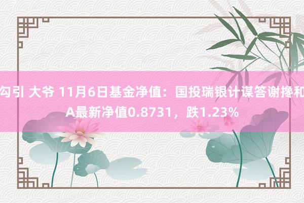 勾引 大爷 11月6日基金净值：国投瑞银计谋答谢搀和A最新净值0.8731，跌1.23%