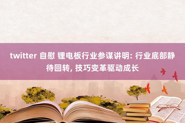 twitter 自慰 锂电板行业参谋讲明: 行业底部静待回转, 技巧变革驱动成长