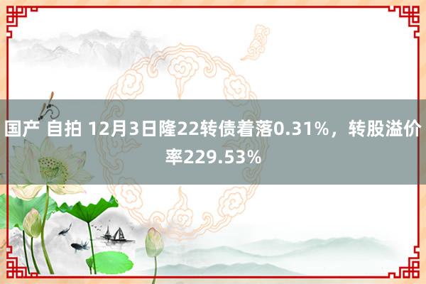 国产 自拍 12月3日隆22转债着落0.31%，转股溢价率229.53%